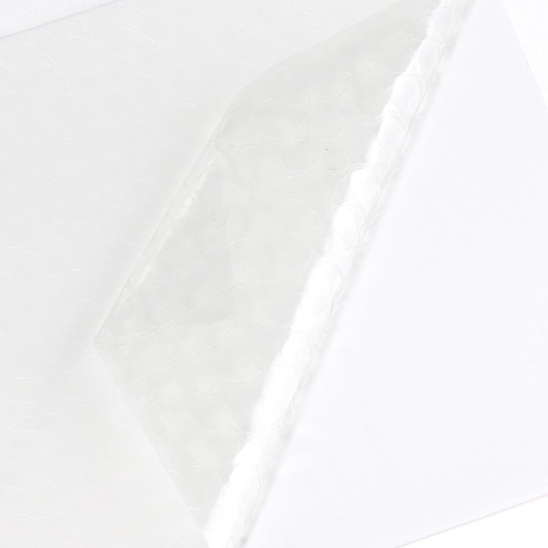 PCGATOR - Transparent effet Alligator